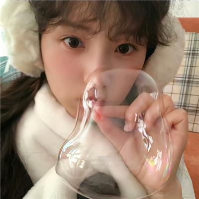 黎明的飞鸟
