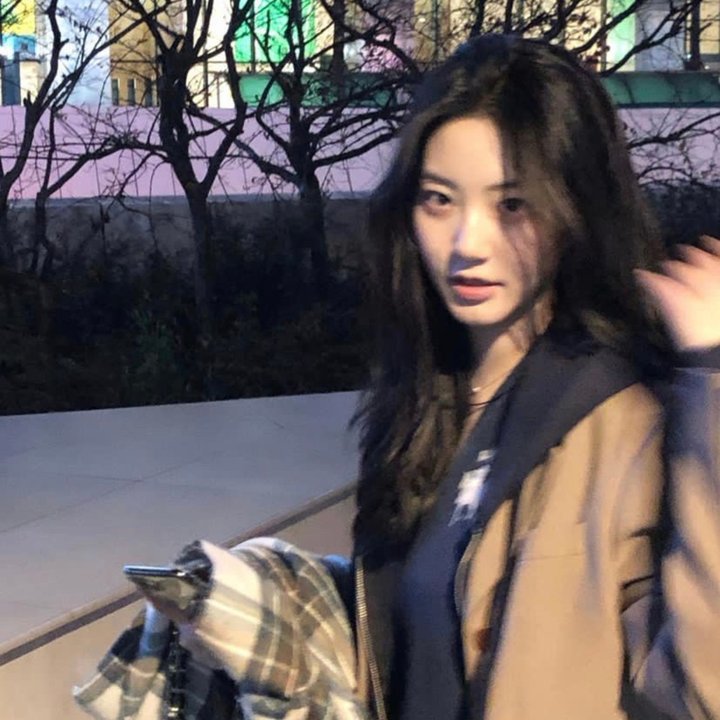 渡渡鸟